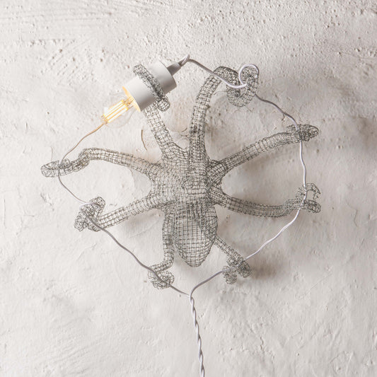 Polpo lamp